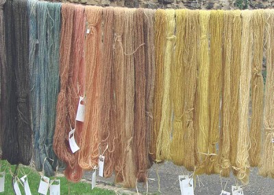 Herbal Dyeing experience